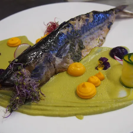 多雷科赫特曼斯基酒店 斯塔加德什切青